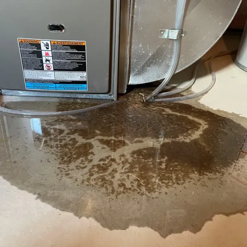 Appliance Leak Cleanup in San Manuel, AZ